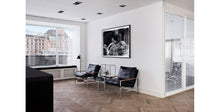 Load image into Gallery viewer, FK 6720 Easy Chair